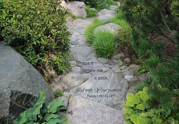 Path of Promises