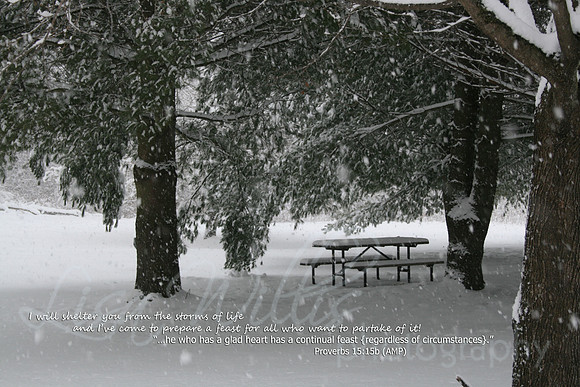 God will Shelter You