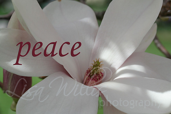 peace