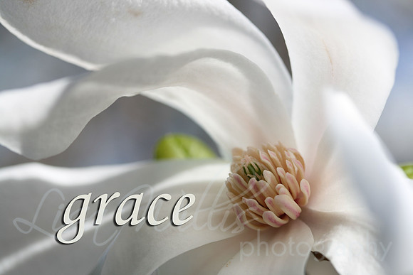 grace