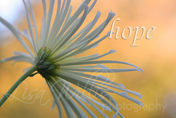 hope