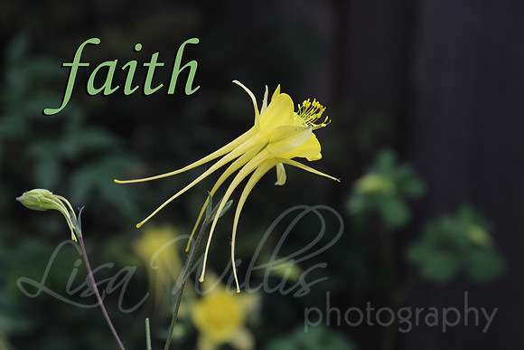 faith