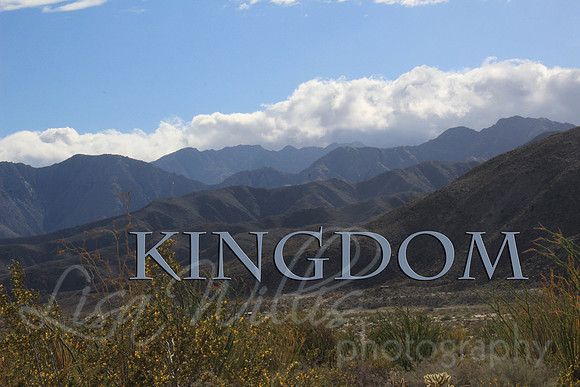 Kingdom
