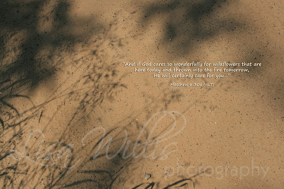 God Cares