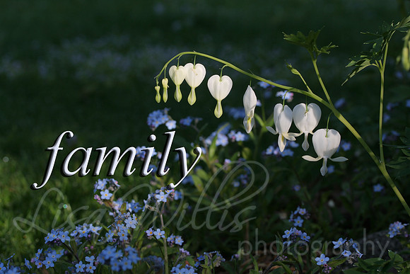 family