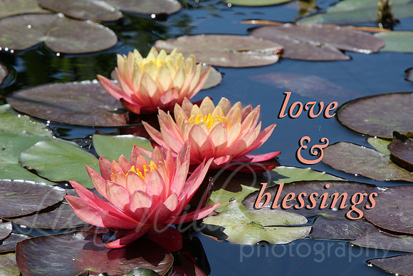 love & blessings
