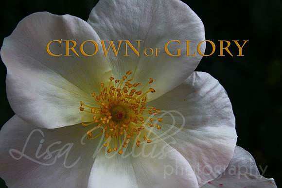 Crown of Glory