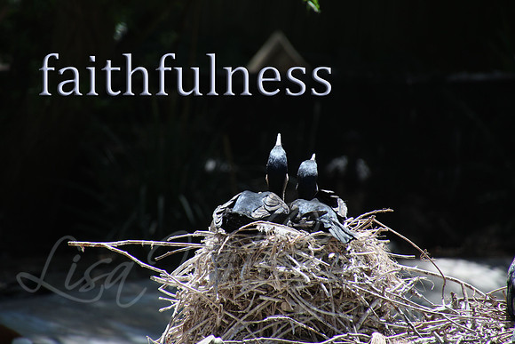 faithfulness