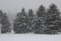 Christmas & Easter