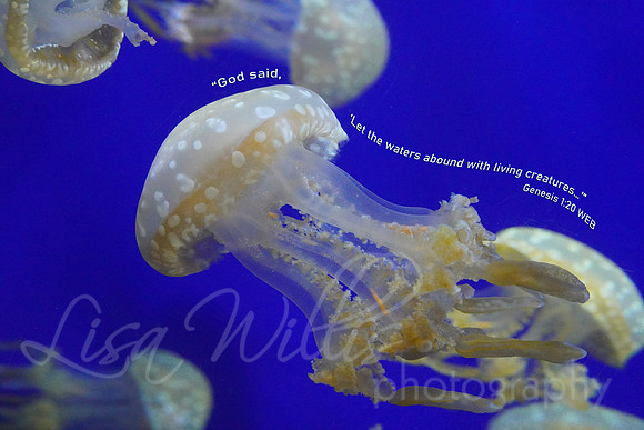 Waters Abound with Living Creatures