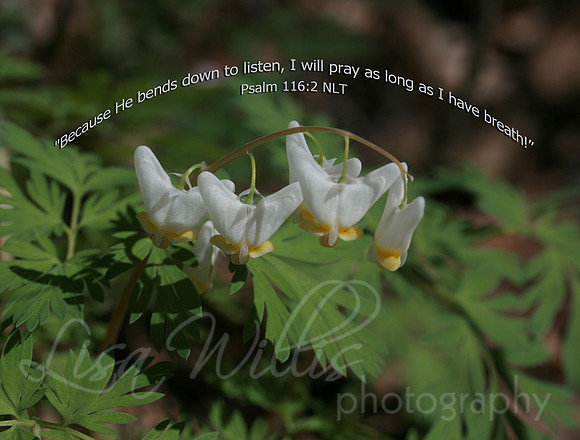 He Bends to Listen