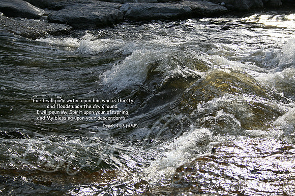 I will Pour My Spirit