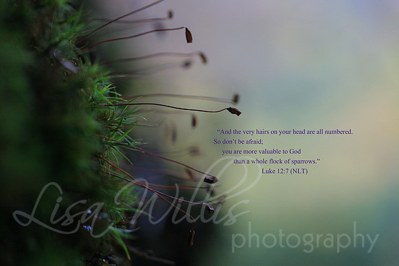 You Are Valuable to God