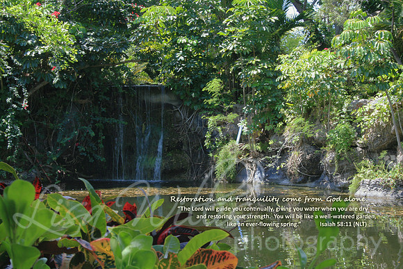 A Well-Watered Garden