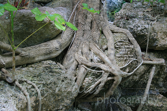 Cling to the Rock