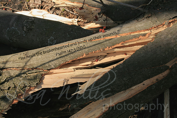 He Heals the Brokenhearted