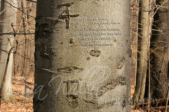 Jesus Heals our Wounds