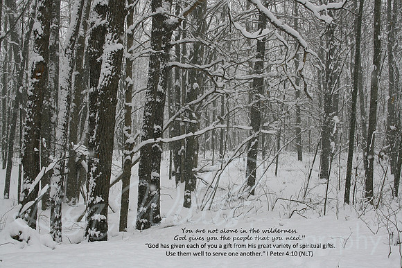 You are not Alone