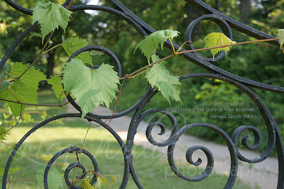 Possess the Gate