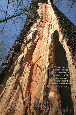 A Broken or Wounded Spirit