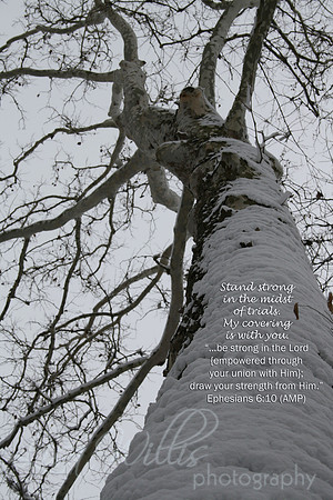 Be Strong in the Lord