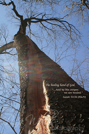 The Healing Hand of God