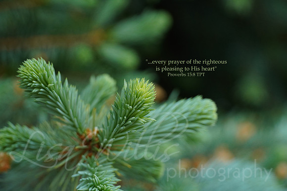 Pleasing to His Heart